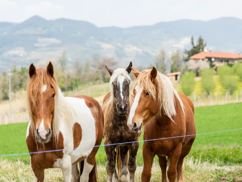 Ospitalità rurale in agriturismo, Alta Langa