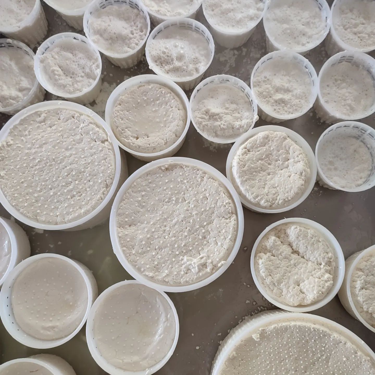 Formaggio fresco di capra, Robiola DOP